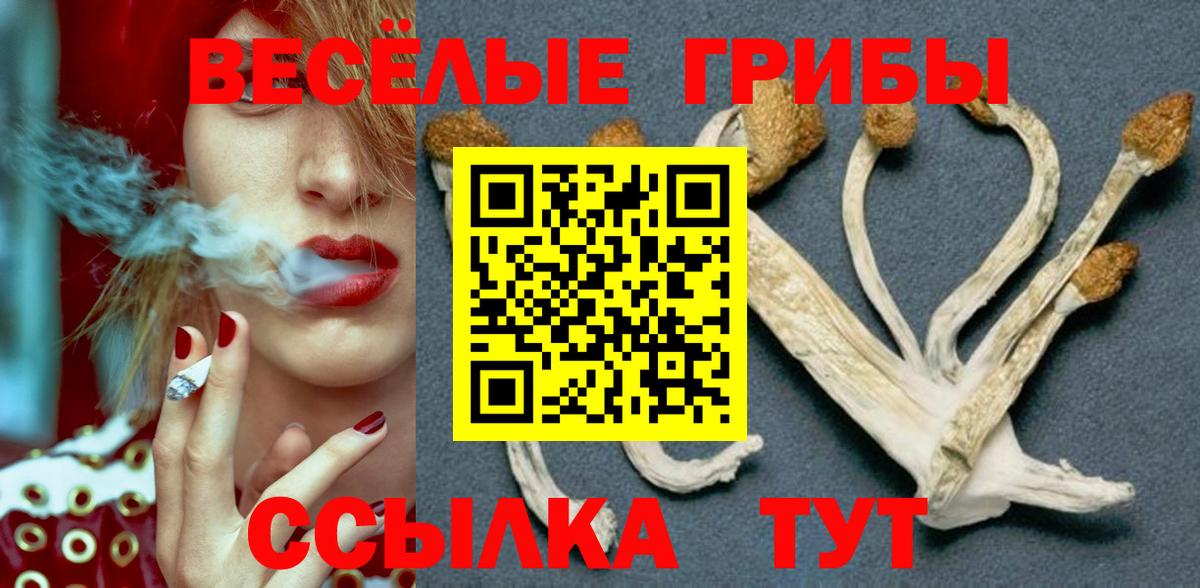 Псилоцибиновые грибы Magic Shrooms Можайск
