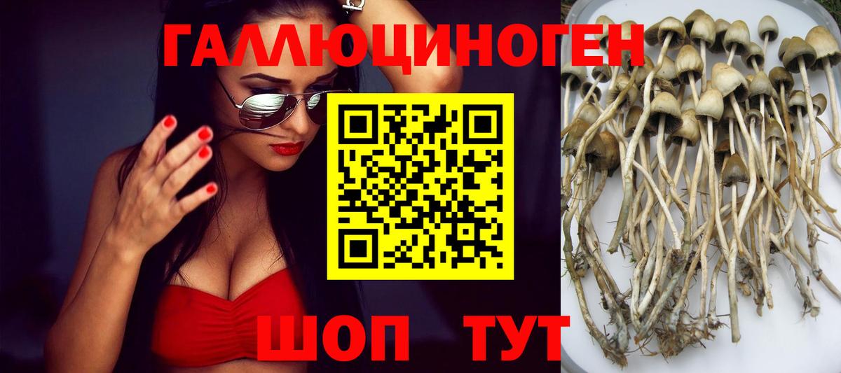 Можайск  Псилоцибиновые грибы GOLDEN TEACHER  Галлюциногенные грибы мухоморы  Вход с VPN 